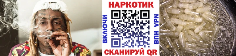 Что такое Еманжелинск Амфетамин ГАШ МАРИХУАНА СК