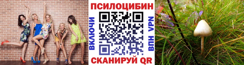 Галлюциногенные грибы мицелий  Еманжелинск 